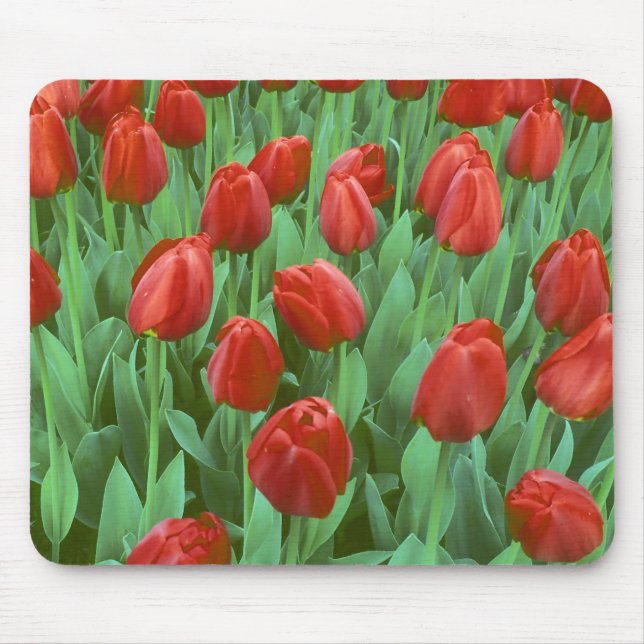 Tulip field blooms in the spring. mouse mat (Front)