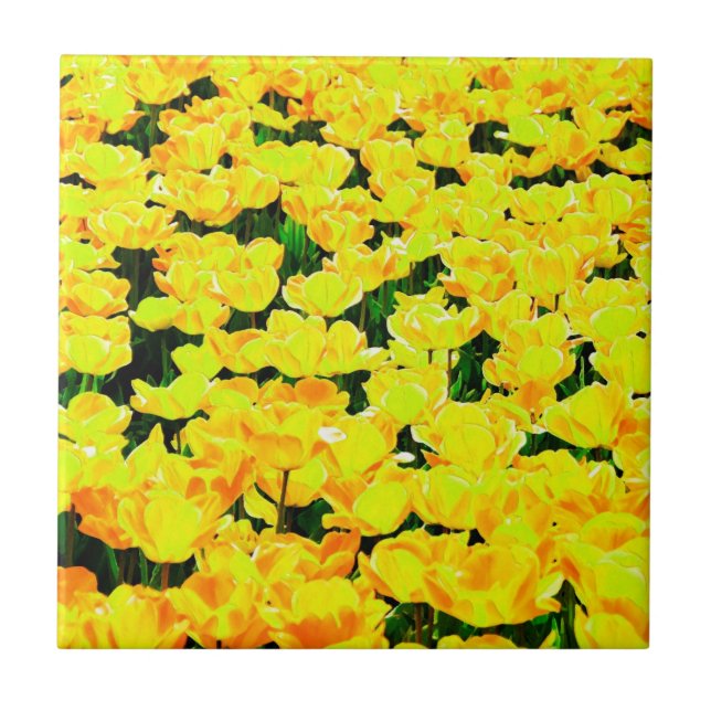 Tulip field - golden yellow tile (Front)