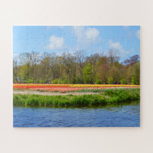 Tulip field in Holland Jigsaw Puzzle