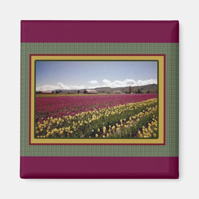 Tulip Field Magnet (Front)