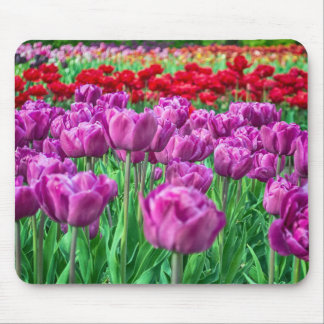 Tulip Field Mouse Mat