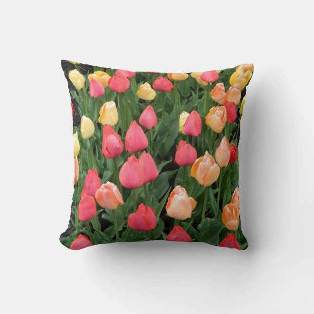 Tulip Field Pillow (Front)