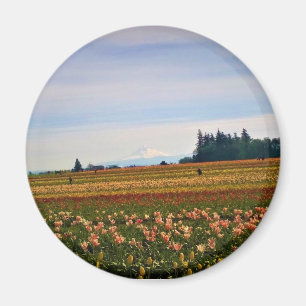 Tulip Field with Mt. Hood, Oregon Magnet