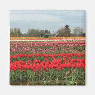 Tulip Field with Tractor and Barn Magnet