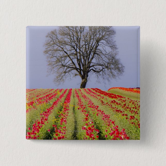 Tulip fields and a lone oak tree located near 15 cm square badge (Front)
