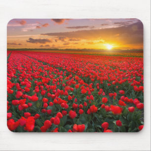 Tulip Fields at Sunset in the Netherlands Mouse Mat