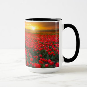 Tulip Fields at Sunset in the Netherlands Mug