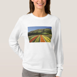 Tulip Fields, near Tapanui, West Otago, South 2 T-Shirt