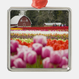 Tulip fields of Mt. Vernon, Skagit County, WA Metal Tree Decoration