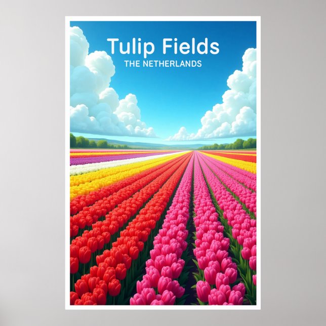 Tulip Fields The Netherlands Travel Poster (Front)