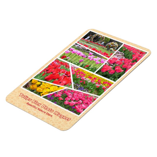 Tulip [Flex Photo Magnet] Magnet (Left Side)