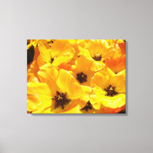 Tulip Floral Canvas prints Yellow Tulips Festival