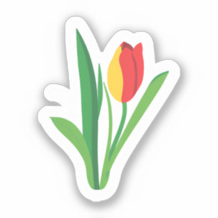 Tulip Flower Cute Floral