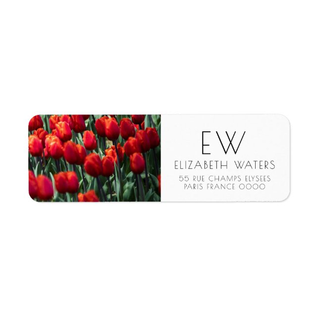 TULIP FLOWER PHOTOGRAPH RETURN ADDRESS LABELS (Front)