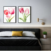 Tulip Flower, Pink Tulip, minimalist, Botanical