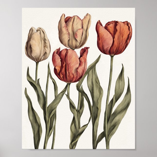 Tulip flower poster (Front)