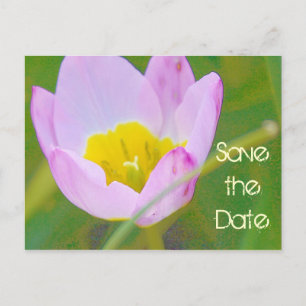 tulip flower save the date blank card