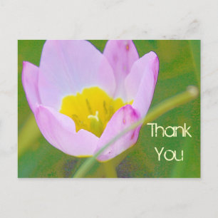 tulip flower thank you blank card