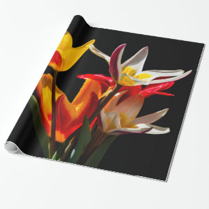 Tulip flowers against black background wrapping paper