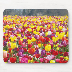 Tulip Flowers Festival mousepads Spring Tulips