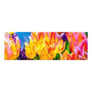 Tulip Flowers - Flourish Photo Print