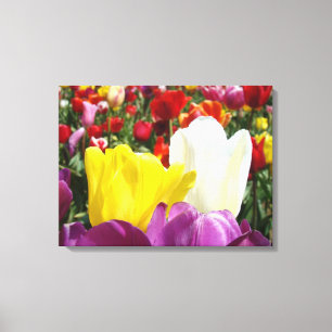 Tulip Flowers Garden Festival Canvas prints