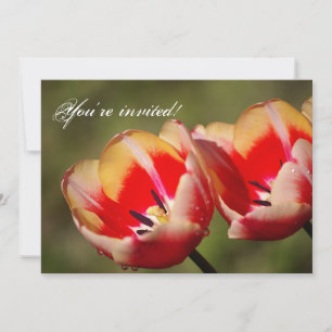 Tulip Flowers Invitation