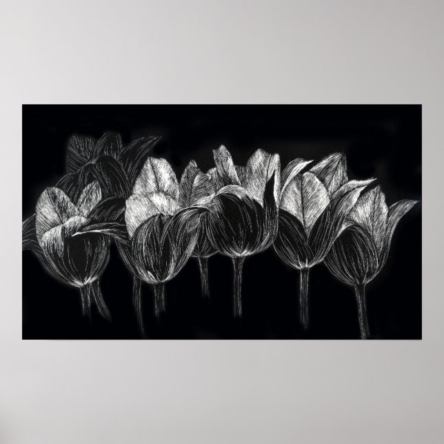 Tulip Garden Black White Scratchboard Art Poster (Front)