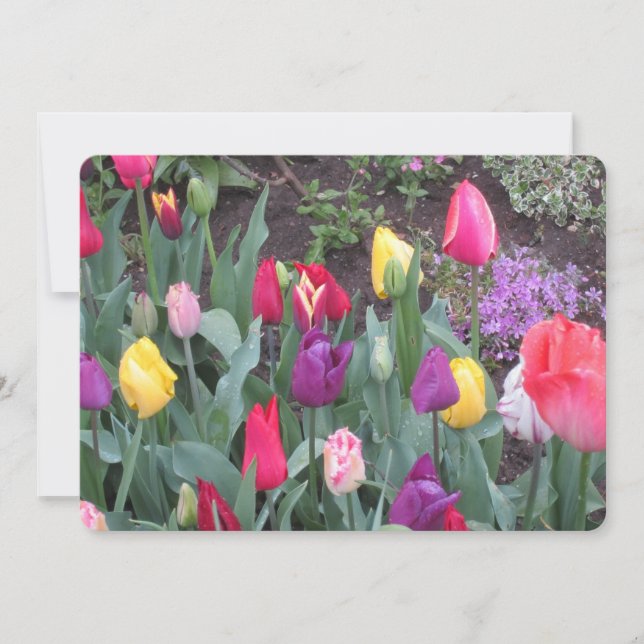 Tulip Garden Flat Holiday Card (Front)