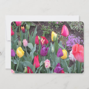 Tulip Garden Flat Holiday Card