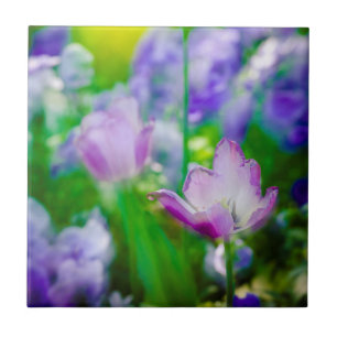 Tulip garden, Giverny, France Tile