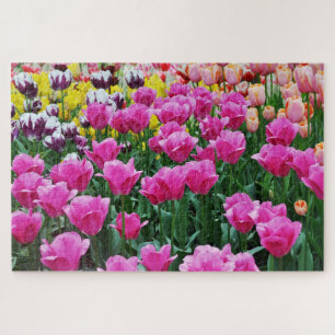 Tulip Garden Jigsaw Puzzle