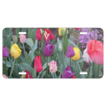 Tulip Garden License Plate