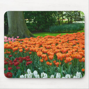 Tulip Garden Mousepad