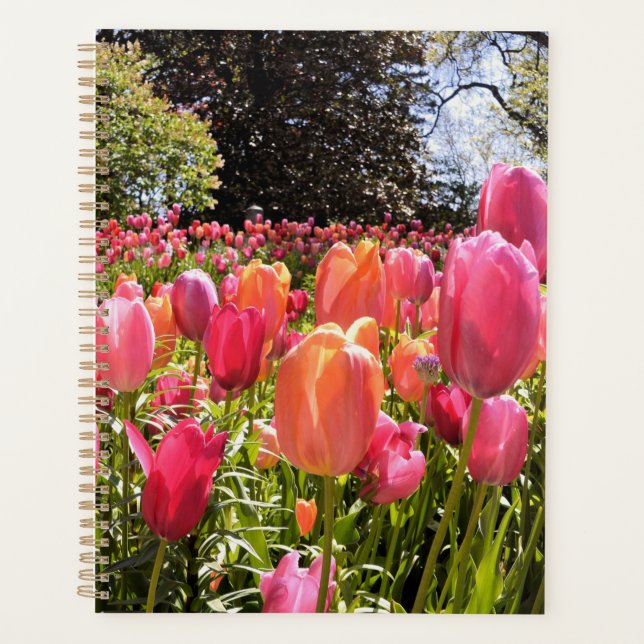 Tulip Garden Planner (Front)