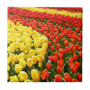Tulip garden tile