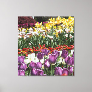 Tulip Garden Wrapped Canvas Print
