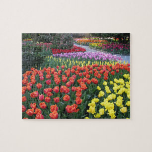 Tulip Gardens Jigsaw Puzzle