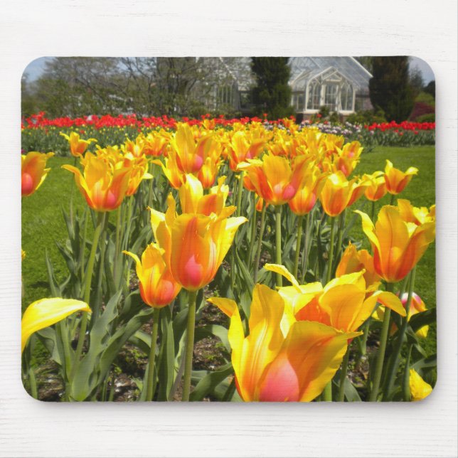 Tulip Gardens Mouse Mat (Front)