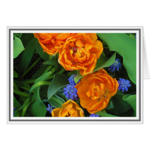 Tulip & Grape Hyacinth Photograph Blank Note Cards