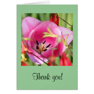 Tulip Greeting Card