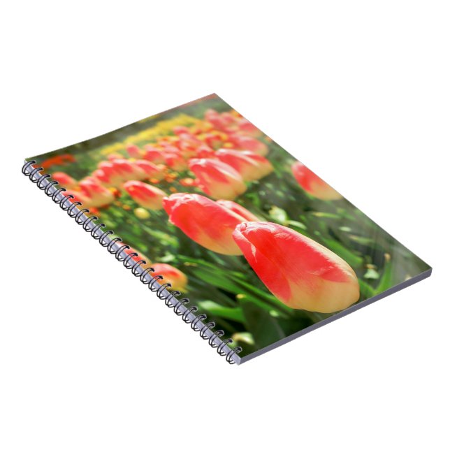 Tulip Heaven Notebook (Right Side)