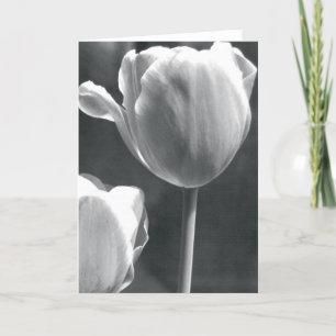 Tulip in Black and White Card