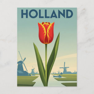 Tulip in Holland Netherlands Postcard
