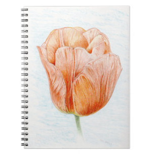 Tulip in Peach Notebook
