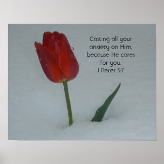 Tulip in the Snow Poster