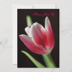 Tulip Invitation