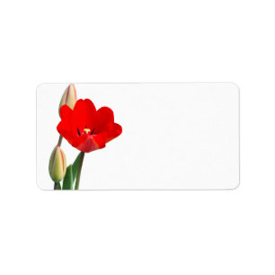 Tulip Label