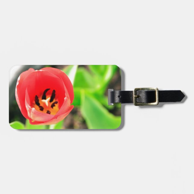Tulip Luggage Tag (Front Horizontal)
