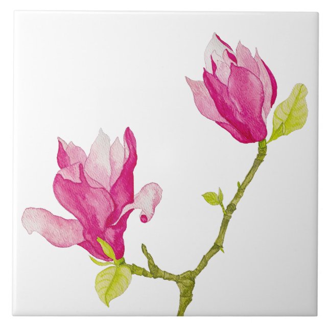 Tulip Magnolias on a Ceramic Tile (1) (Front)